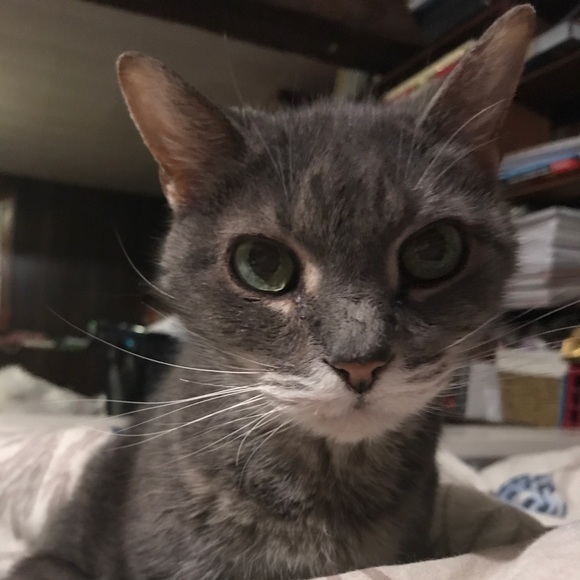 Meet your Posher, Jen - Picture 3 of 4